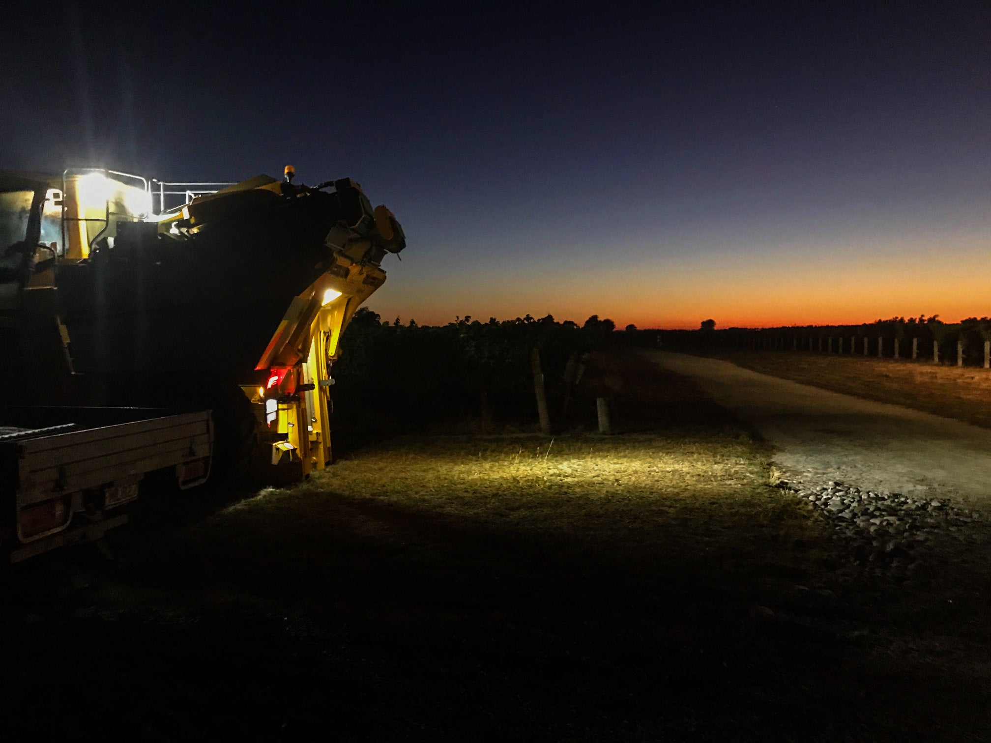 A Harvest to Remember