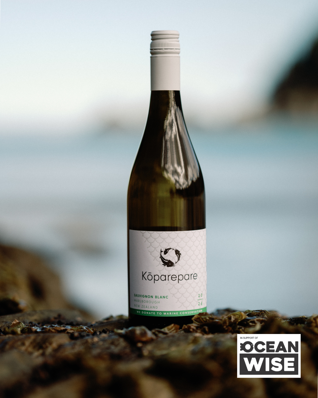 Kōparepare Partners with Ocean Wise