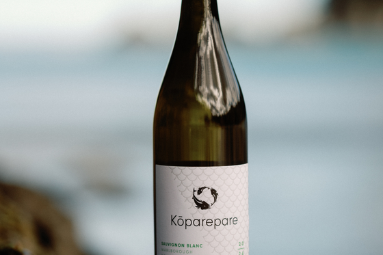 Kōparepare Partners with Ocean Wise