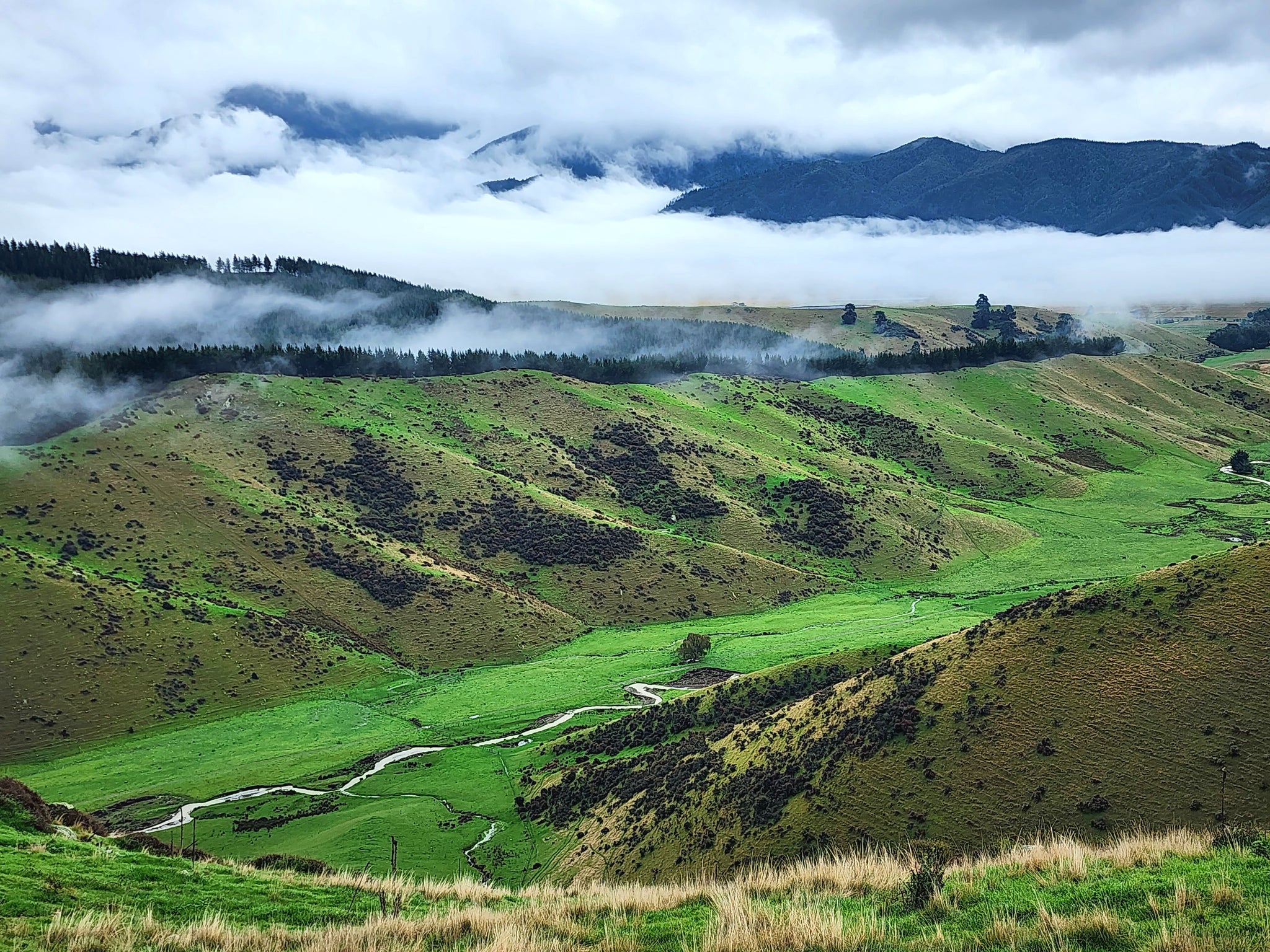 Biodiversity Hotspot - Whitehaven's sustainability journey